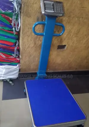 Electronic Weighing Scale Heavy Weigh Floor Weighing Scale TCS 600kg