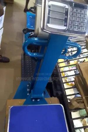 600kgweighing Balance Platform Weighing Scale Xk3190_tcs
