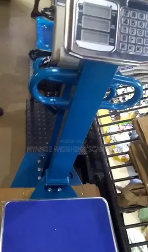600kg Digital Platform Electronic Weighing Scale Xk3190_tcs
