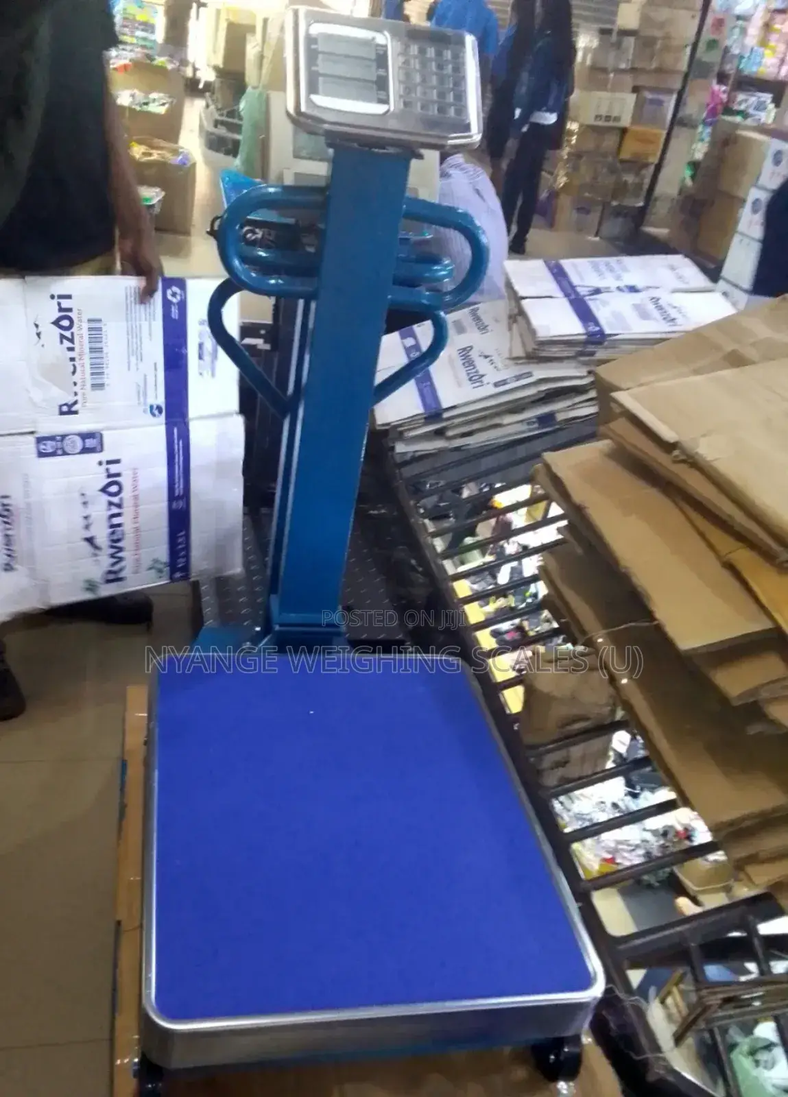 TCS Platform Floor Industrial Weighing Scale 600kg Weights