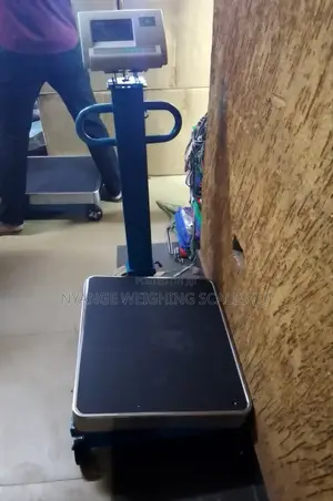 A12 600kg Digital Platform Floor Weighing Scale Xk3190_a12e