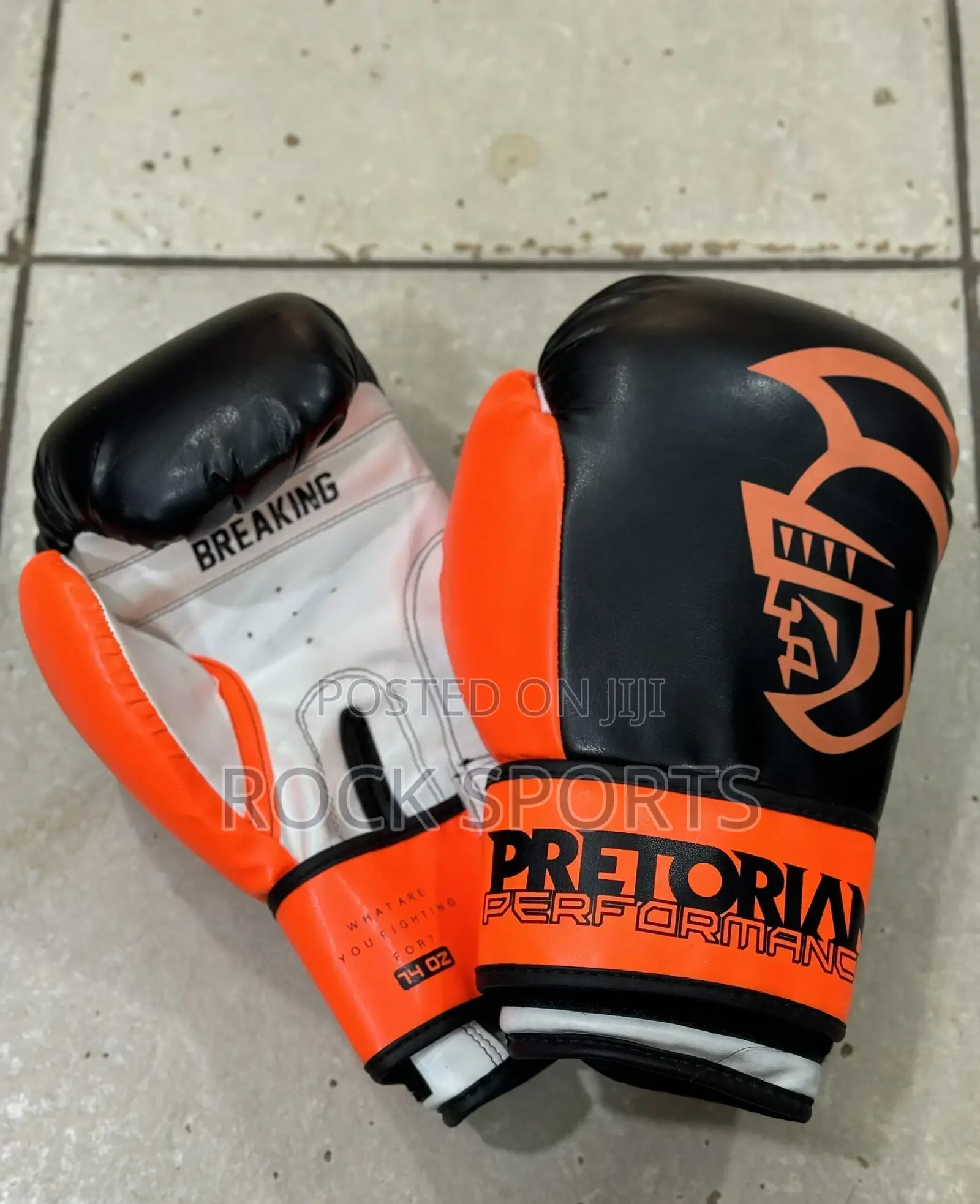 Pretorian Boxing Gloves Leather