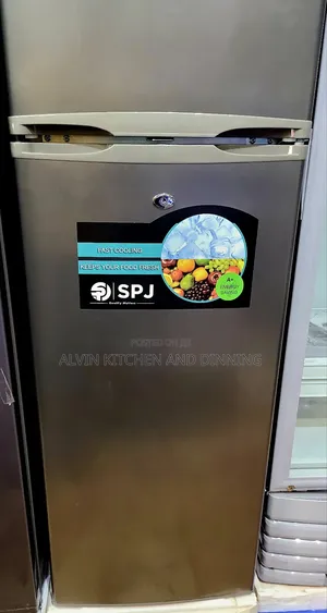 Double Door Fridge SPJ With Freezer 229L