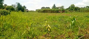 Plot's for Sale in Kiwenda