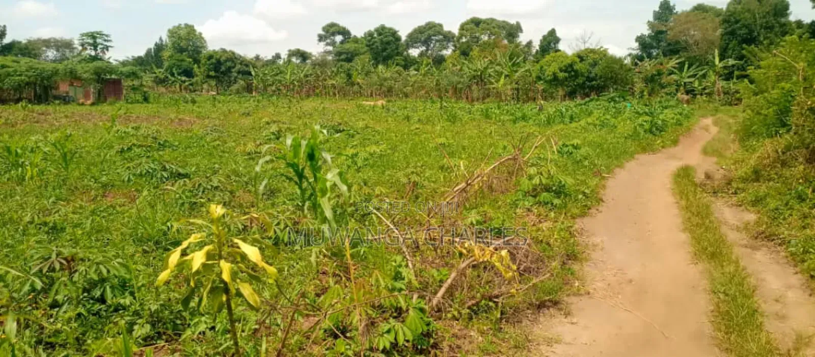 Plot's for Sale in Kiwenda