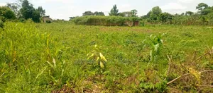 Plot's for Sale in Kiwenda