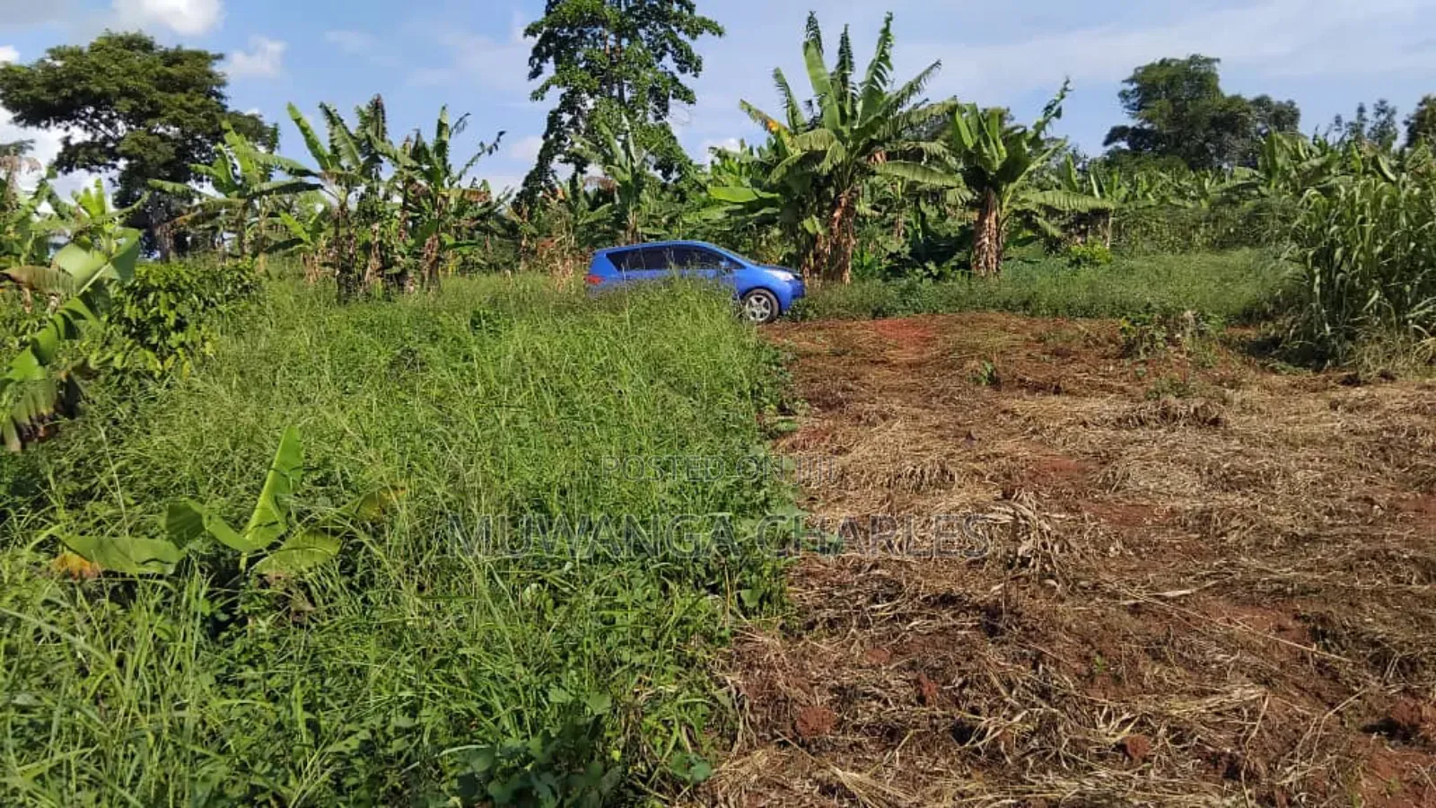 Plot's for Sale in Kiwenda