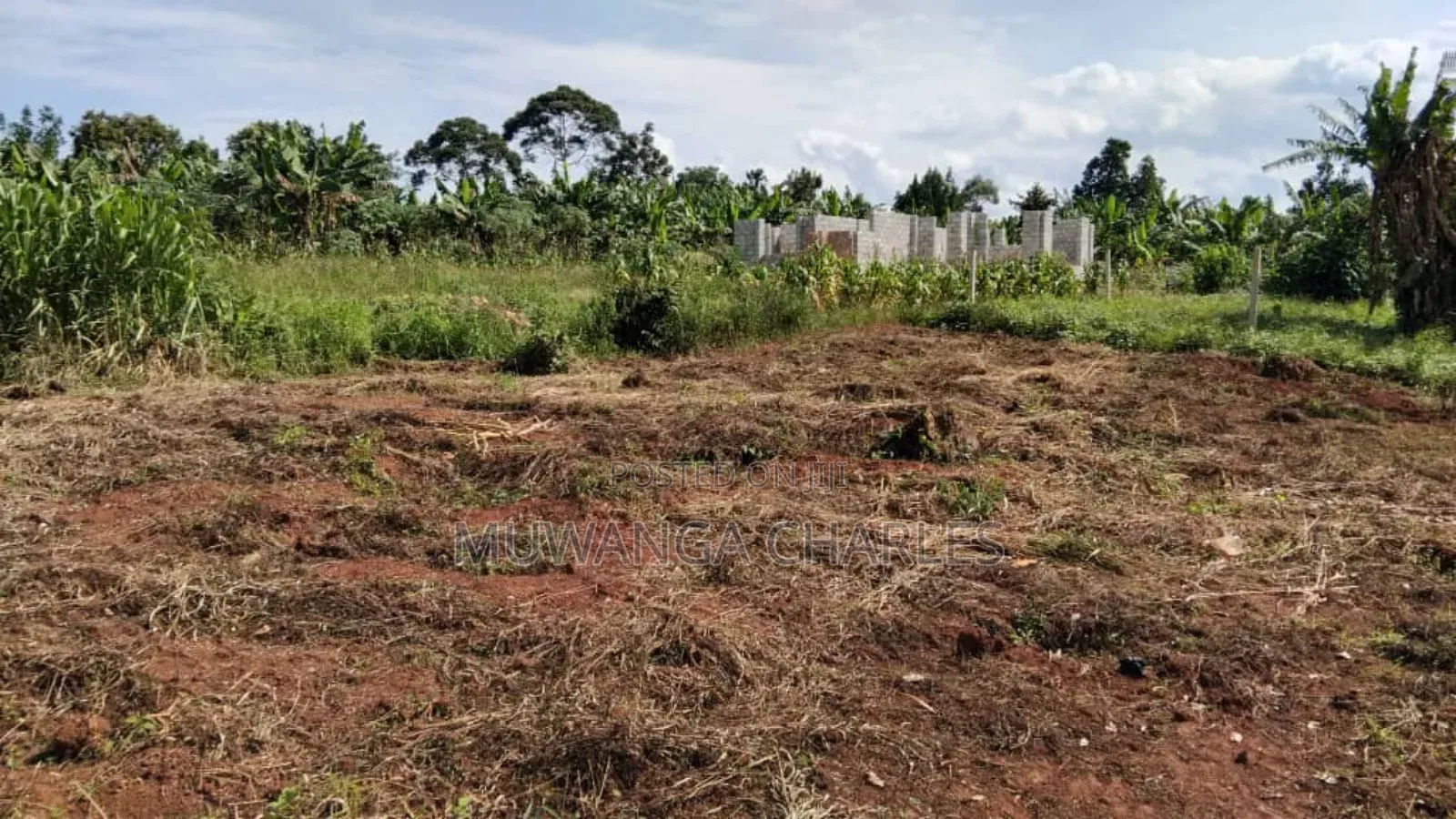 Plot's for Sale in Kiwenda