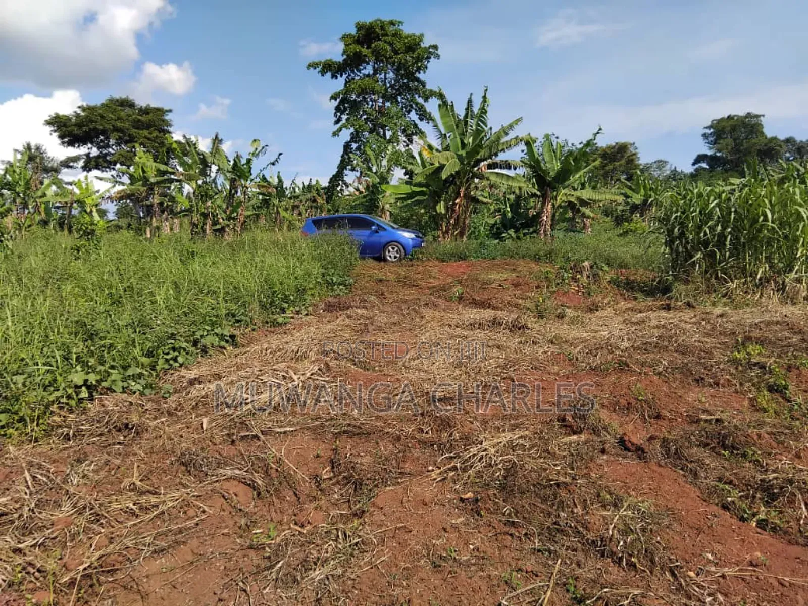 Plot's for Sale in Kiwenda
