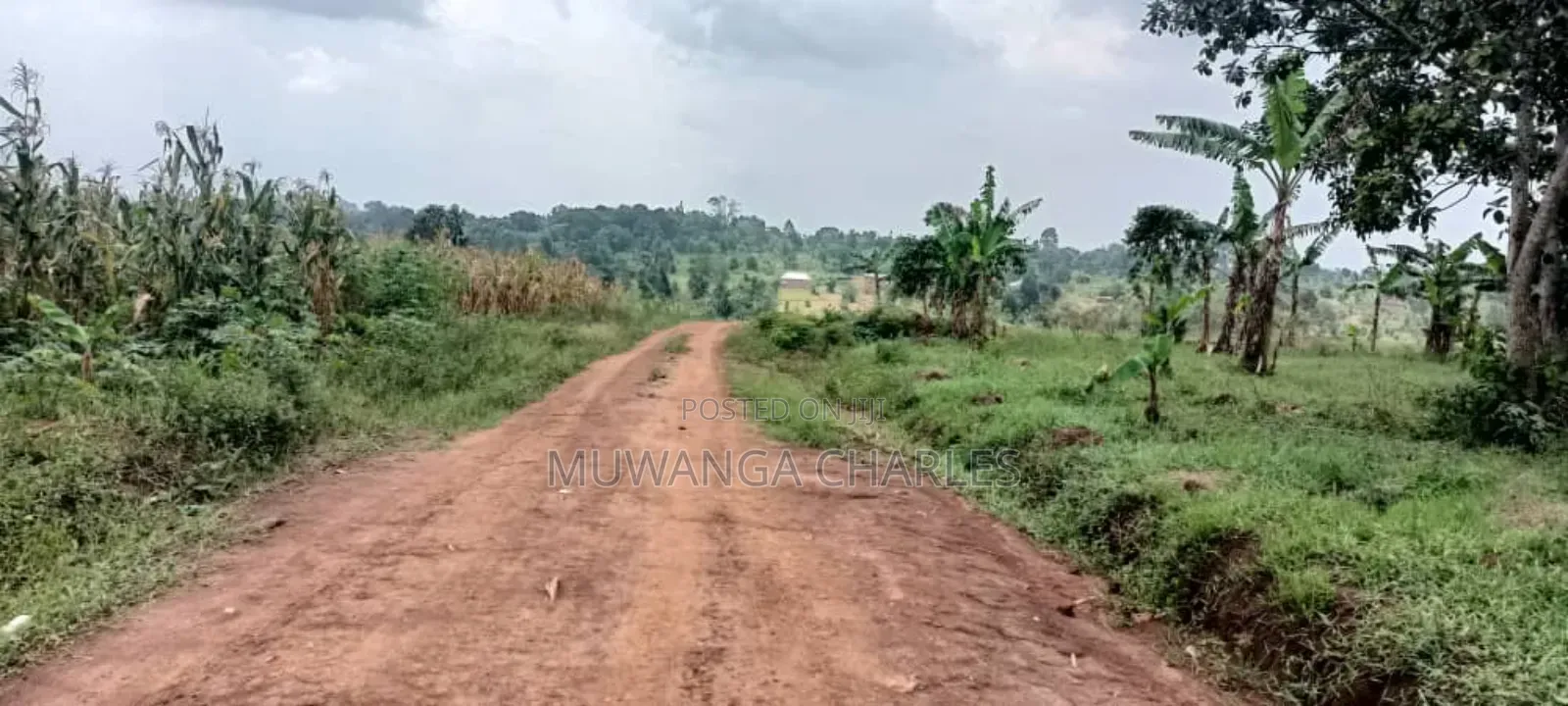 Plot's for Sale in Busukuma
