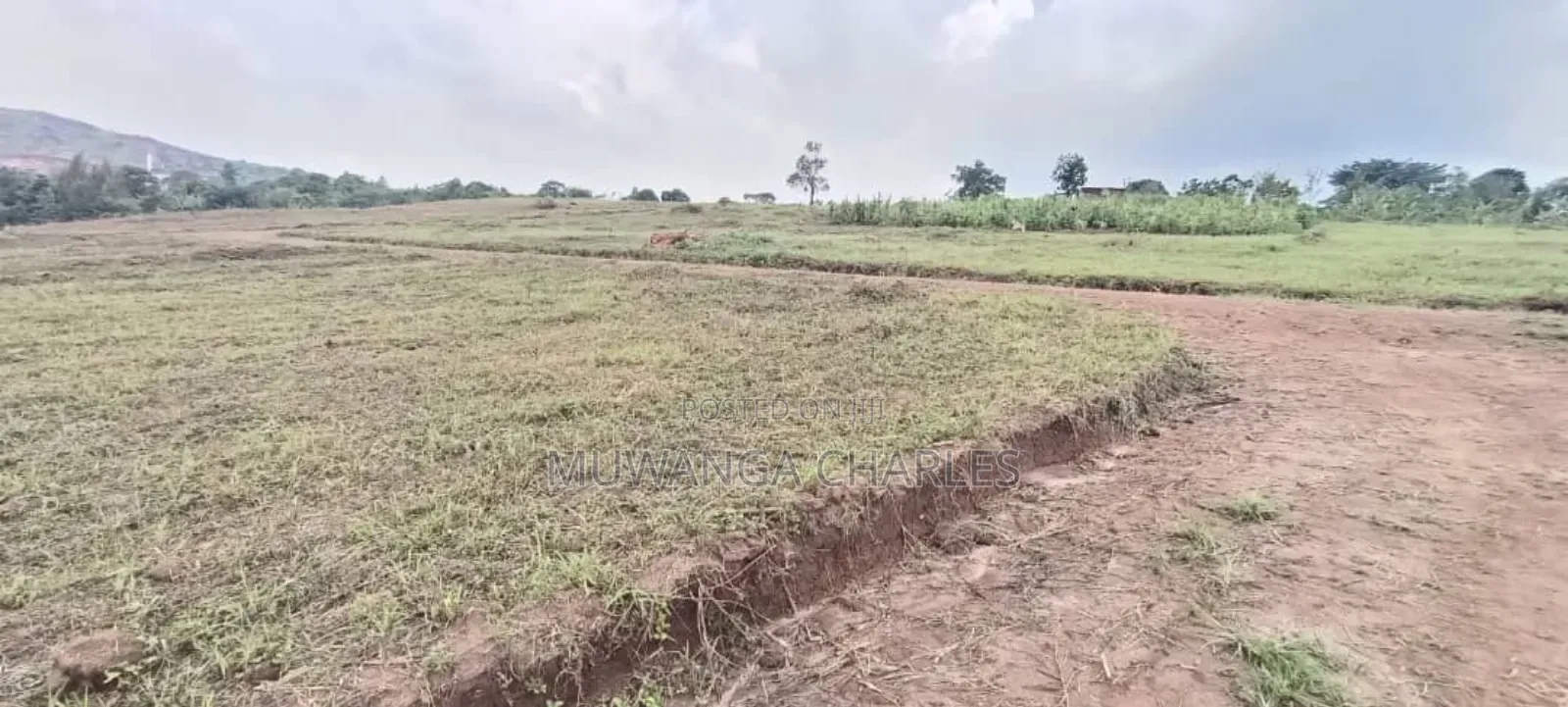 Plot's for Sale in Busukuma