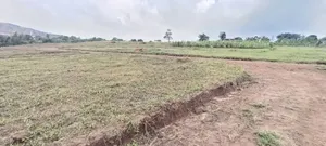 Plot's for Sale in Busukuma