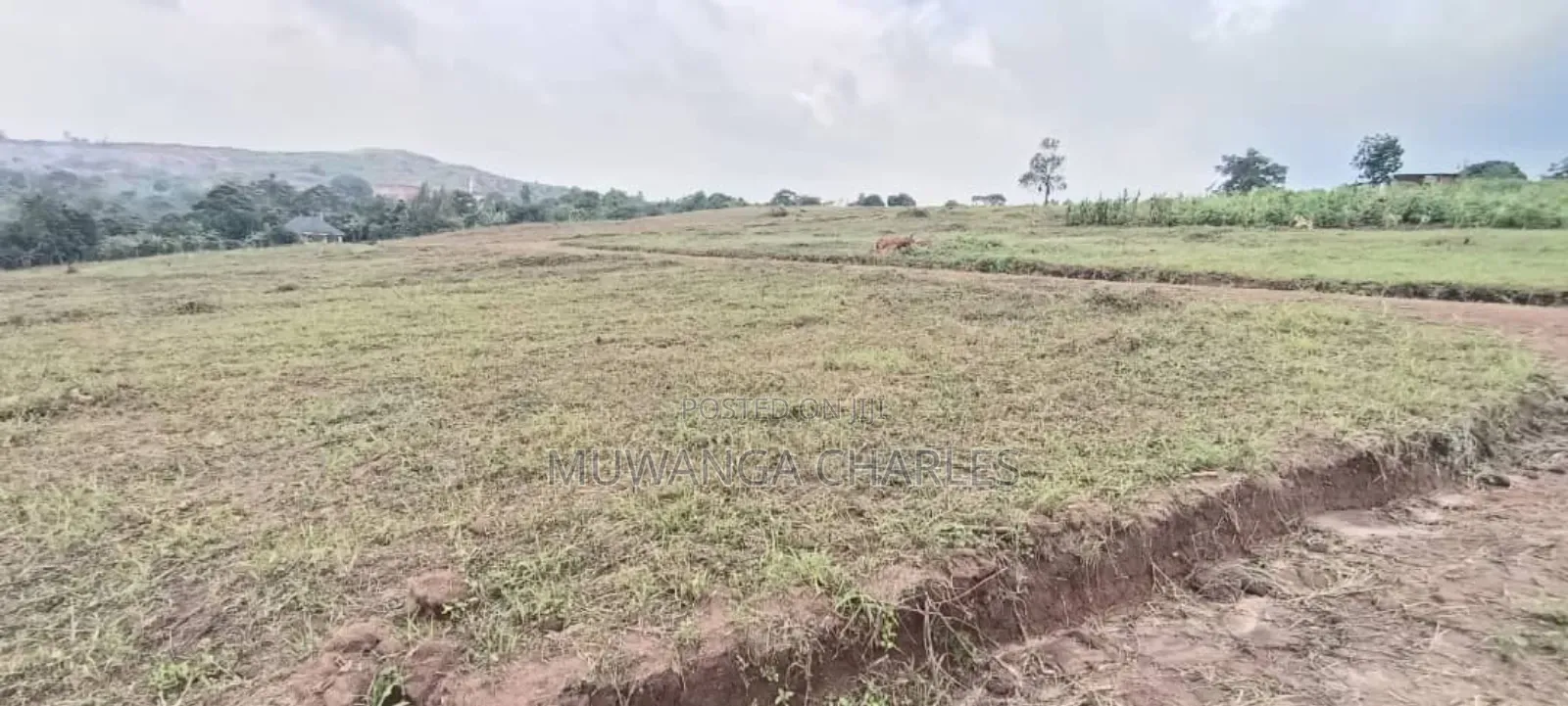 Plot's for Sale in Busukuma