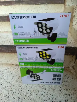 Solar Mortion Sensor Light