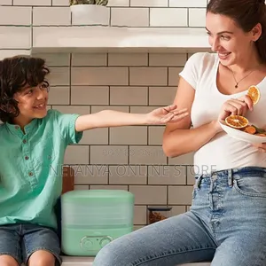 DSP Electric Food Dehydrator