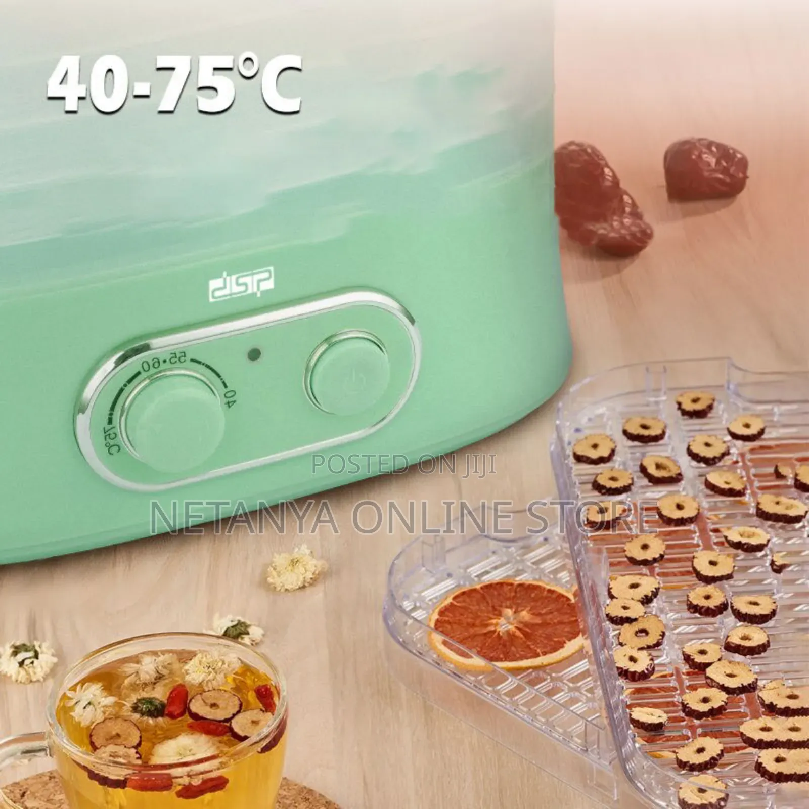 DSP Electric Food Dehydrator