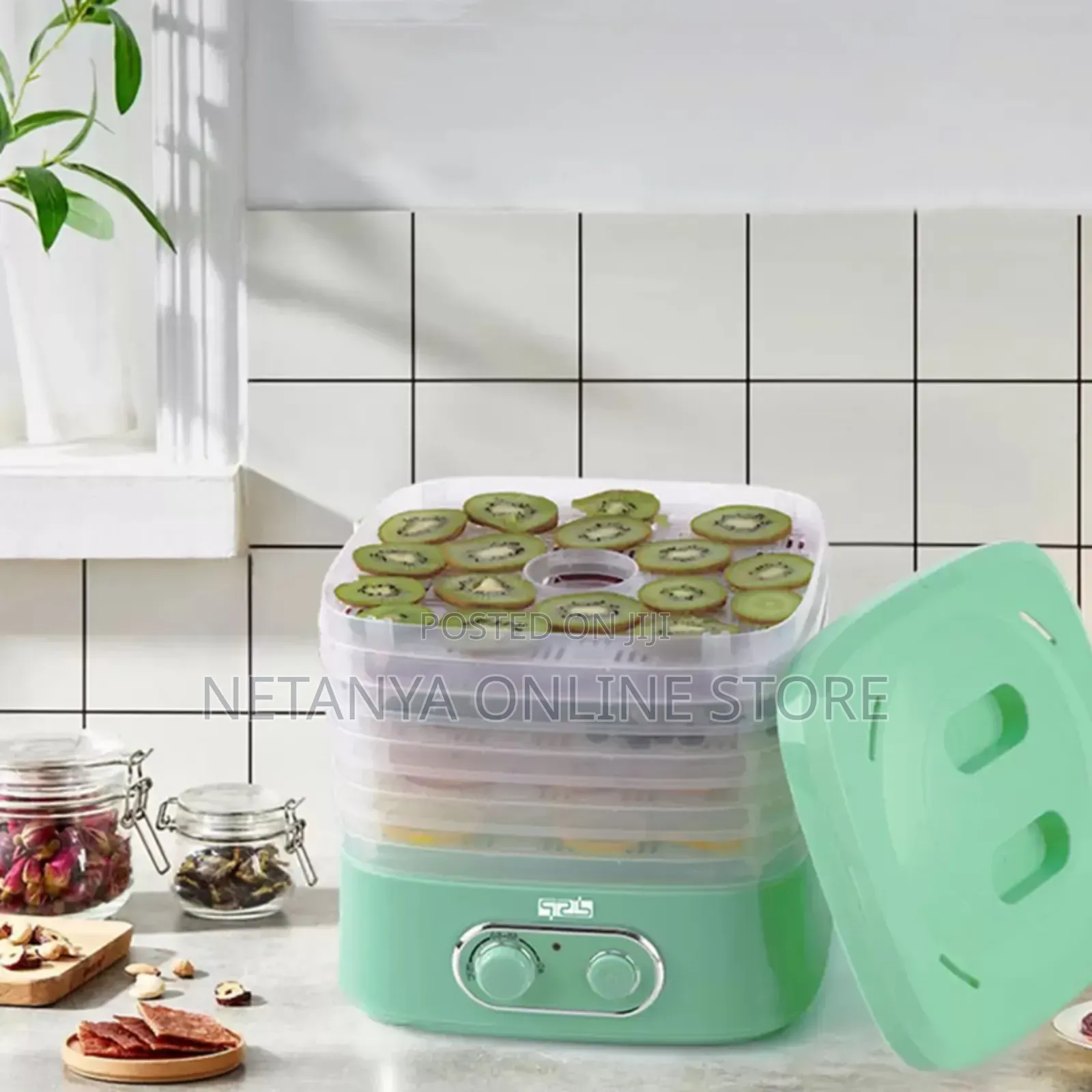 DSP Electric Food Dehydrator