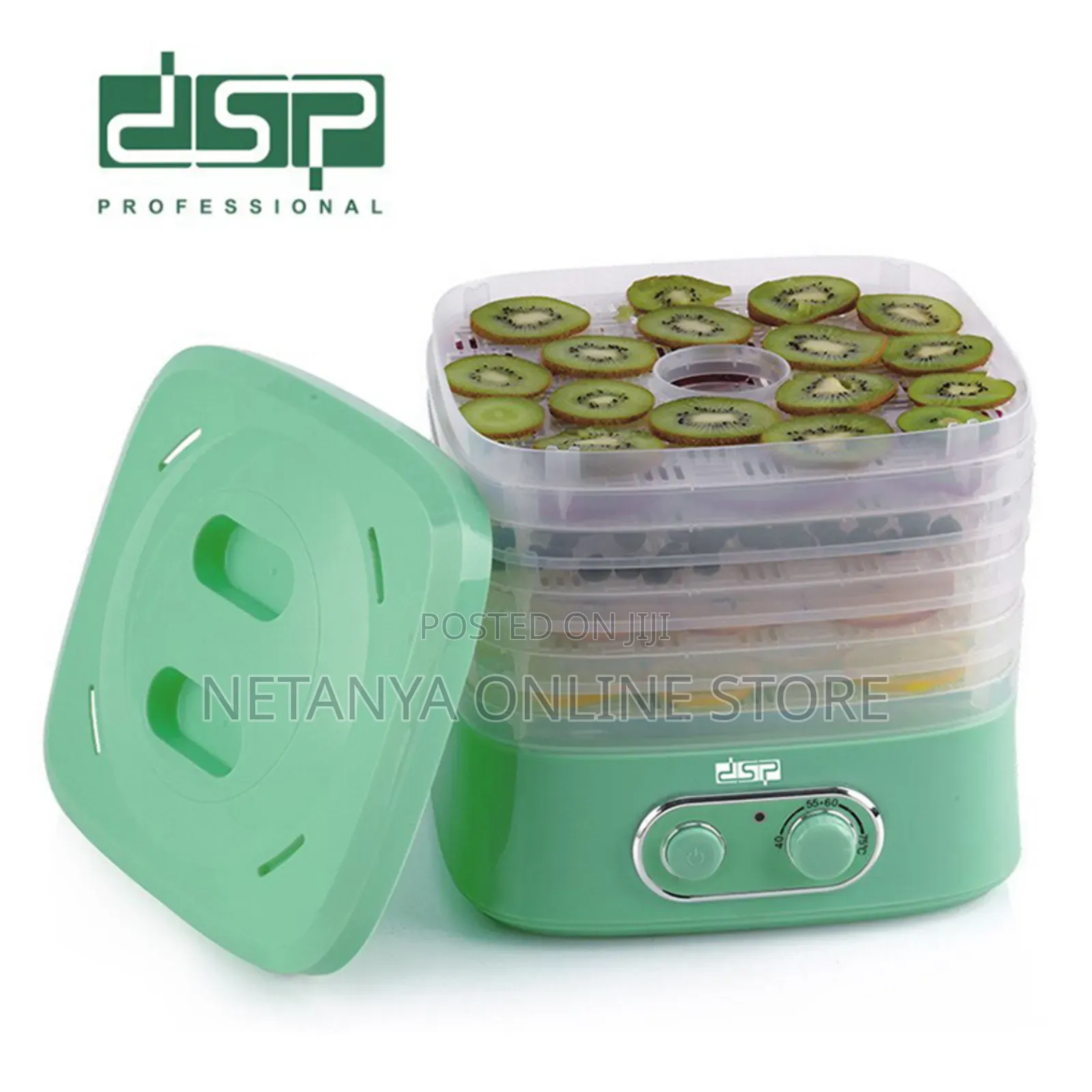 DSP Electric Food Dehydrator