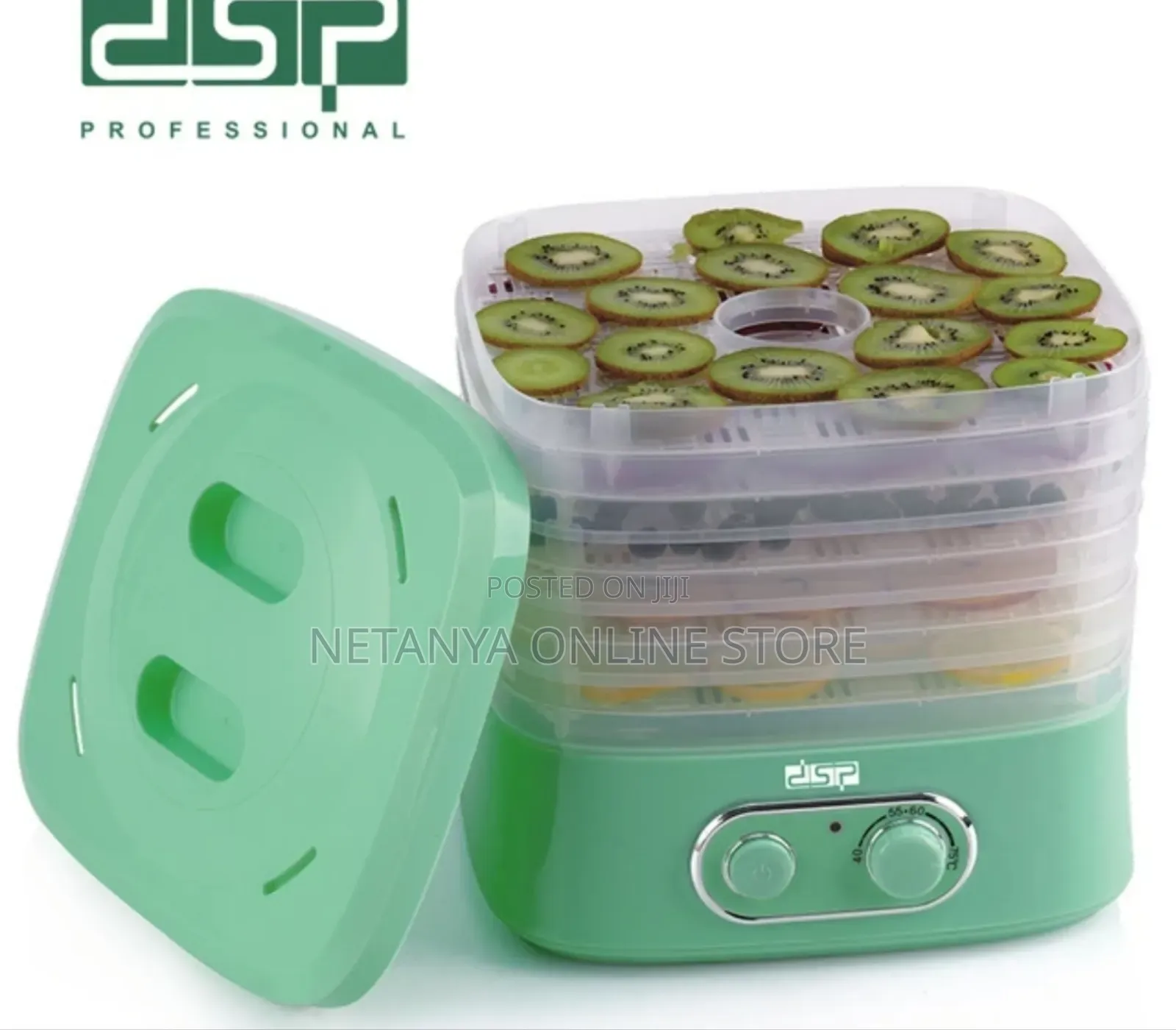 DSP Electric Food Dehydrator