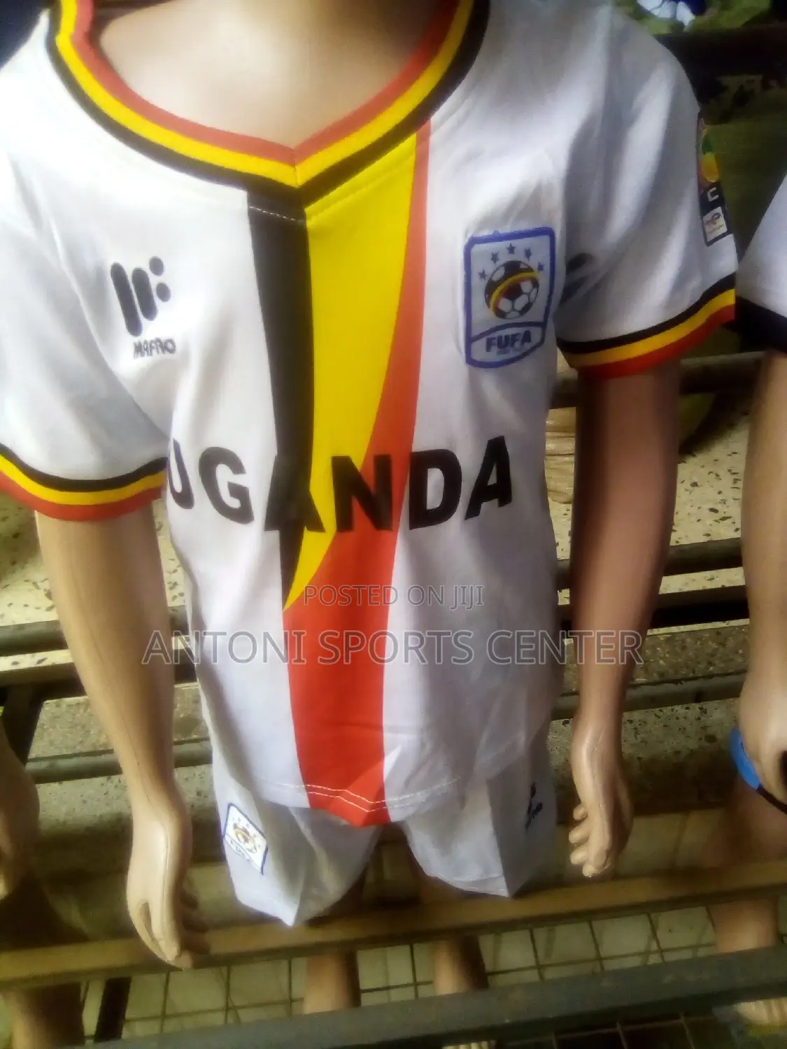 Uganda Crane for Kids