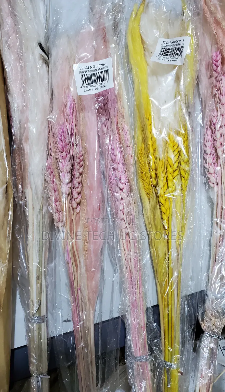 Fluffy Pampas Grass Decor ,Stunning Decoration- Abatch
