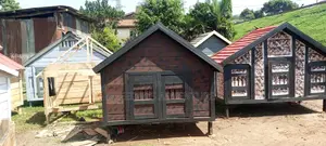 Dogs Kennel D