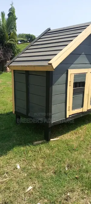 Wooden Kennel for Dogs