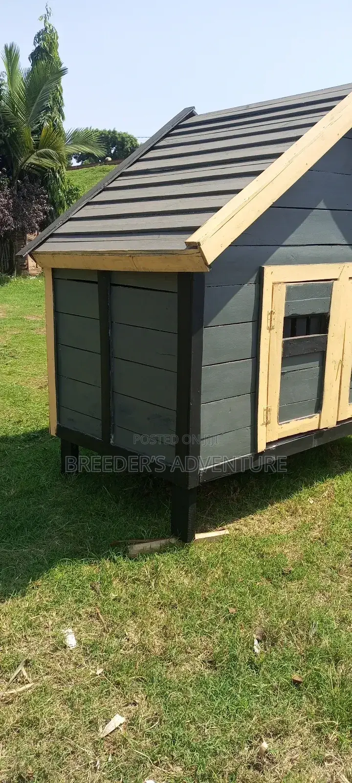 Wooden Kennel for Dogs