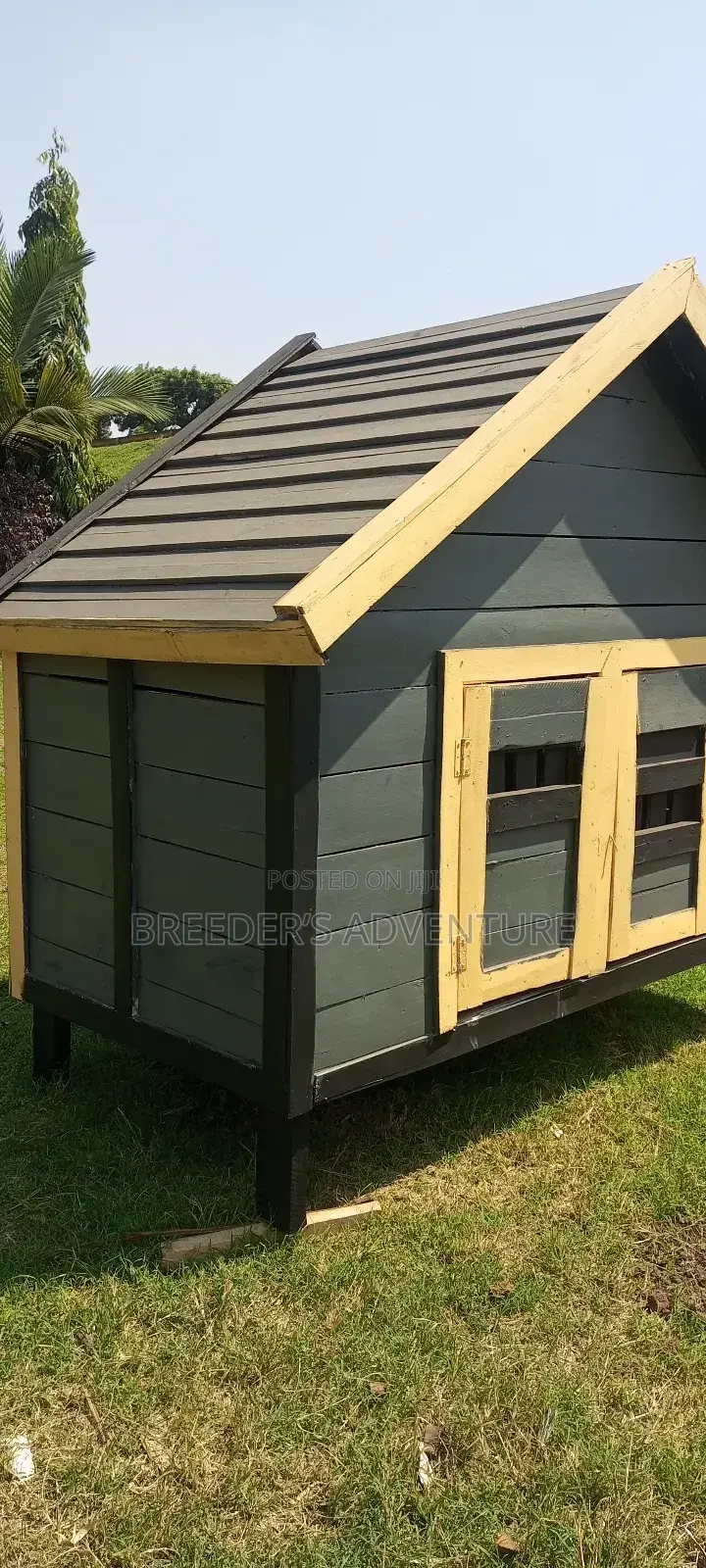 Wooden Kennel for Dogs
