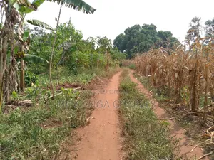 5acres for Sale in Luwero