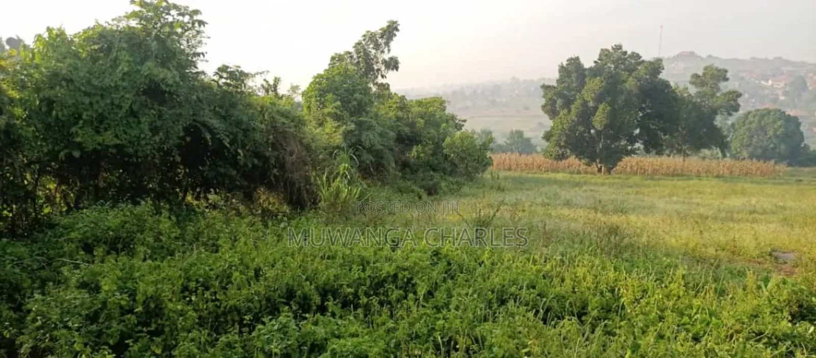 5acres for Sale in Luwero