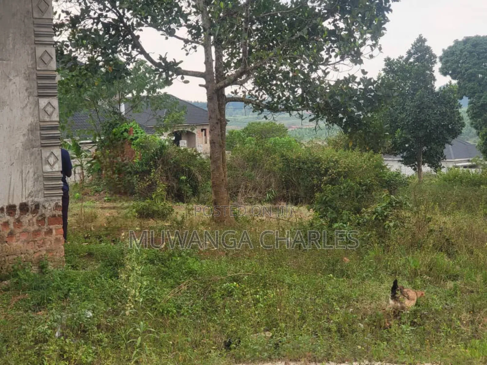 5acres for Sale in Luwero