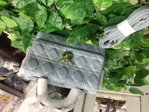 Ladies Handbags