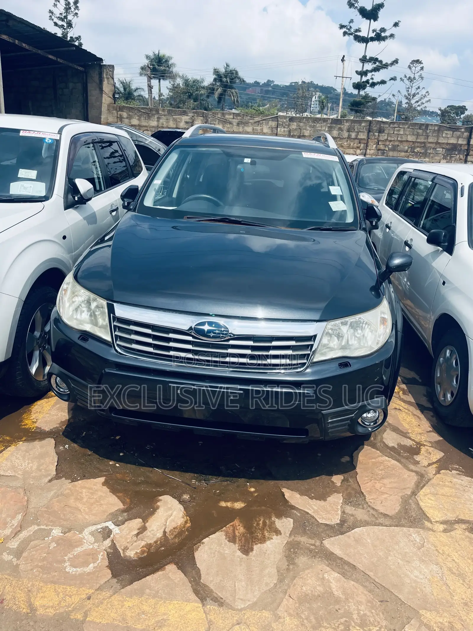 Subaru Forester 2011 Gray