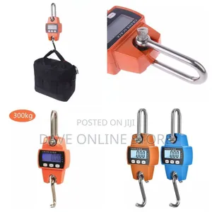 Photo - Crane 300 KGS Cast Iron Weighing Scale Digital Screen