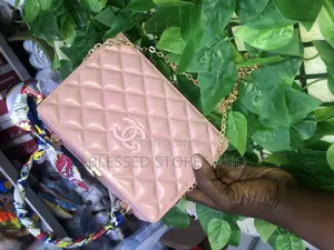 Ladies Fancy Bag
