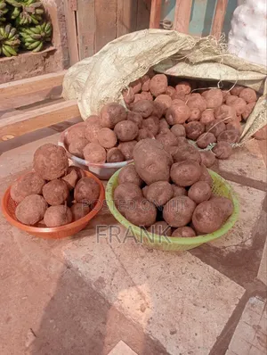 Photo - Irish Potatoes for Chips Sold in Kisaasi