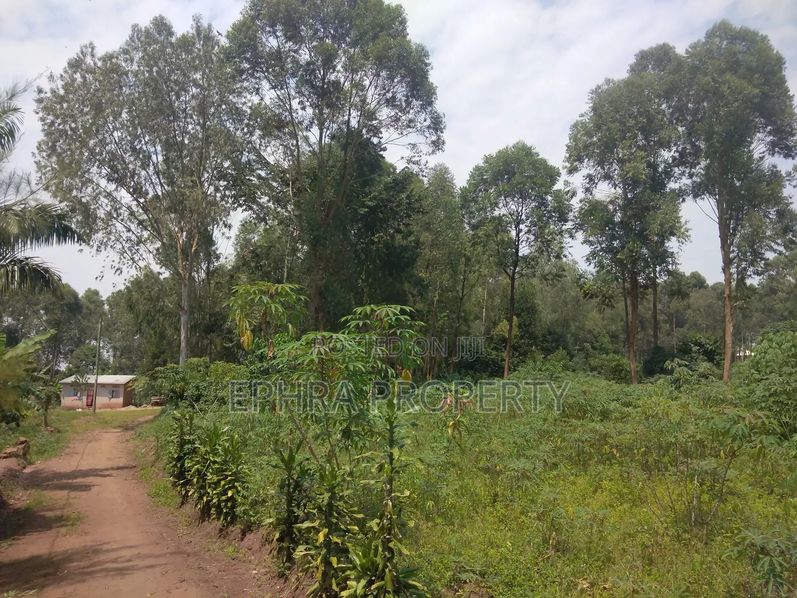 50 by 50 Land /Plots for