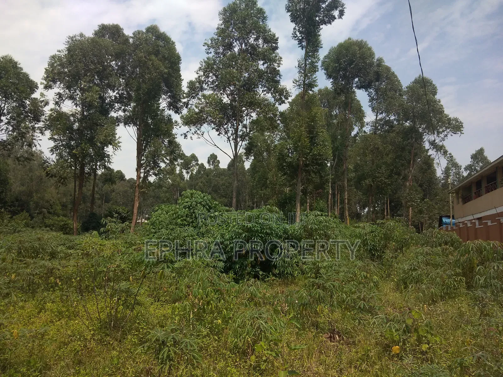 50 by 50 Land /Plots for