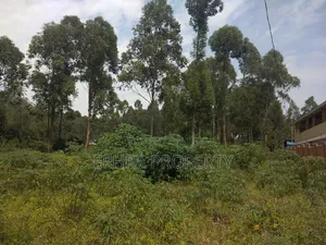 50 by 50 Land /Plots for