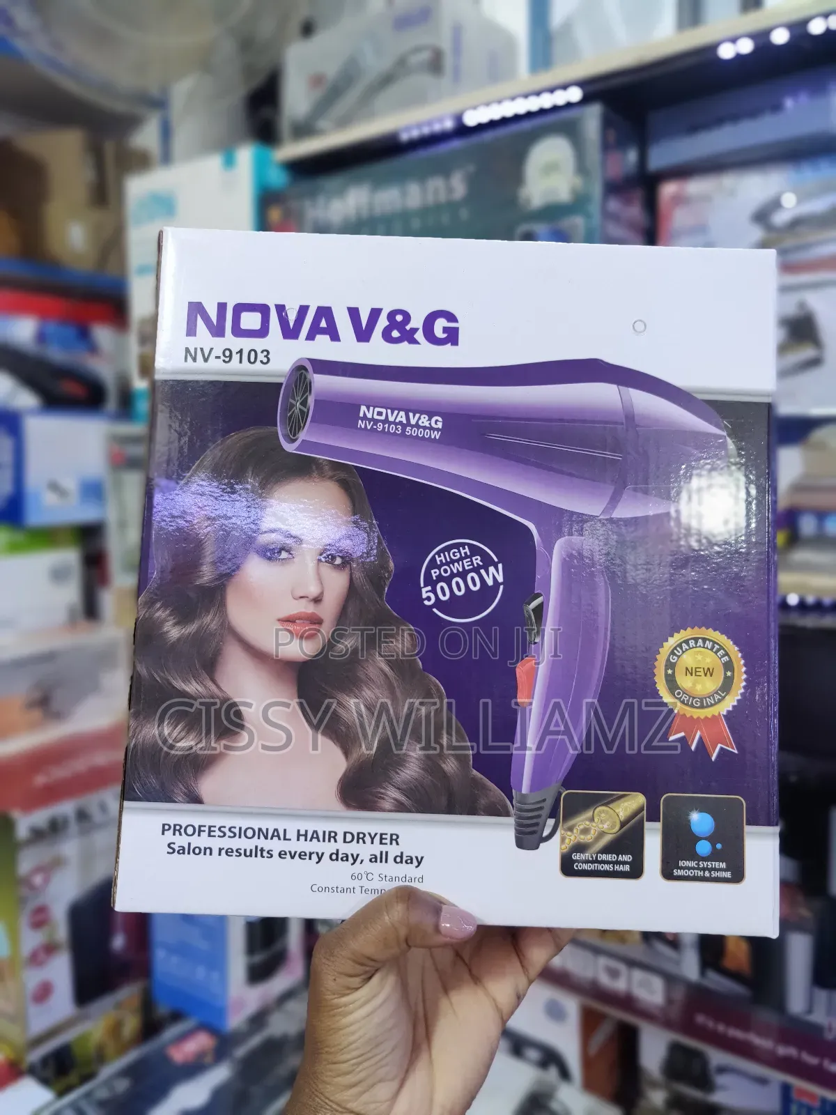 High Power Handheld Hair Dryer/Electric Hand Hair Dryer