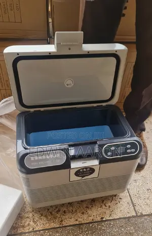 12L Car Mini Refrigerator