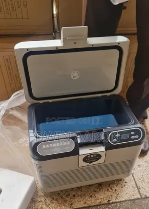 12L Car Mini Refrigerator