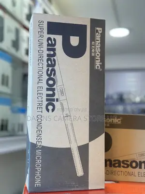 Panasonic Microphone