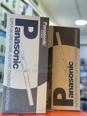 Panasonic Microphone