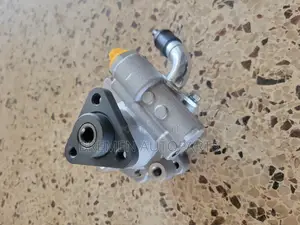 Power Steering Pump Volkswagen Tourage
