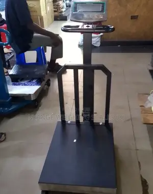 Electronic Digital Weigh Industrial Platform Weighing Scale T.C.S