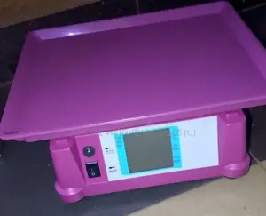 TCS/Acs High Quality 40kg Weighing Scale Calibrated Weighing Scales