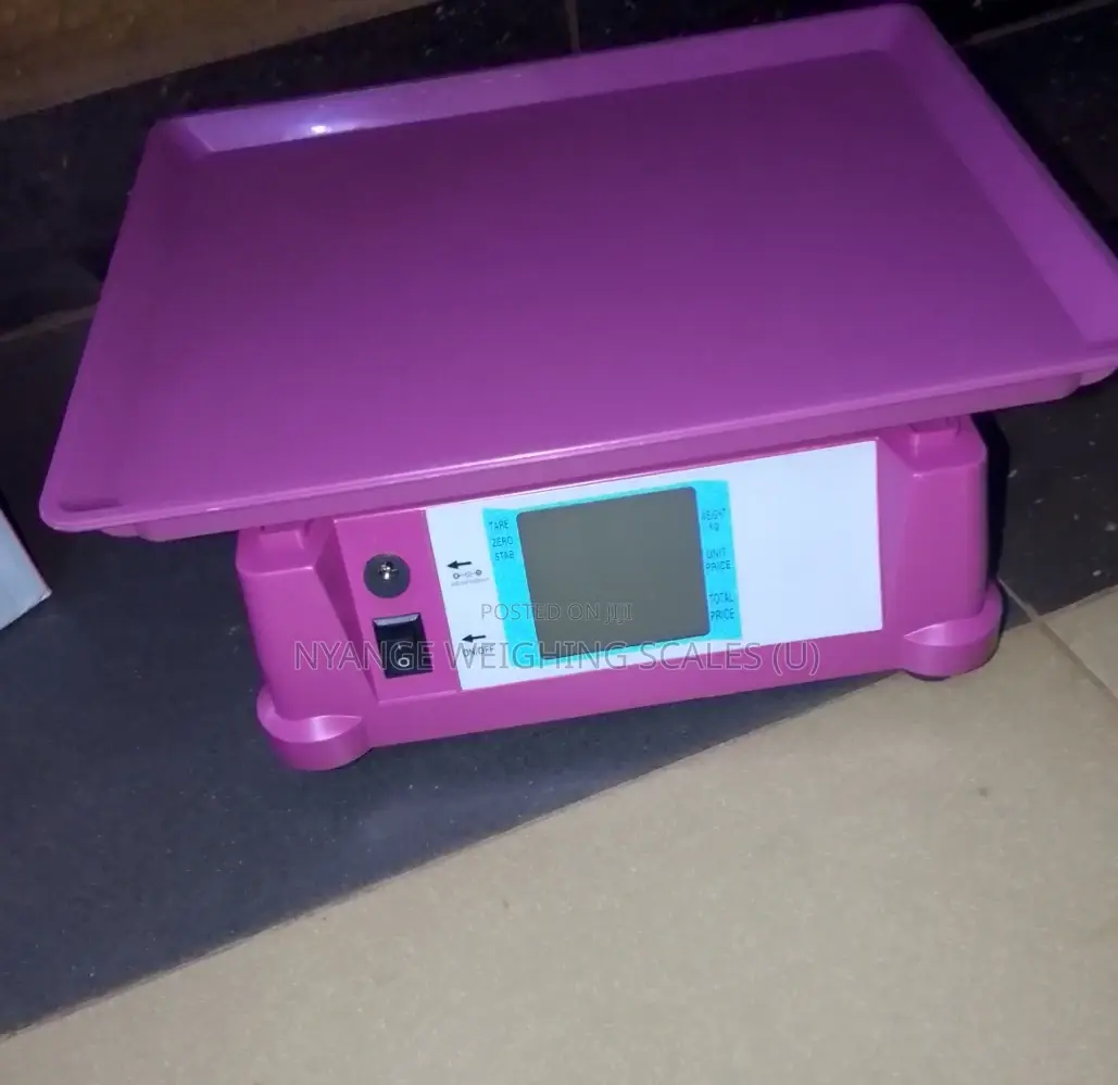 Portable Weighing Scale Shop Price Weigh 40kg Portable Weighing Scale