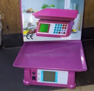 Calibrated Weigh Scale Portable Table Mini Weighing Scale TCS/Acs